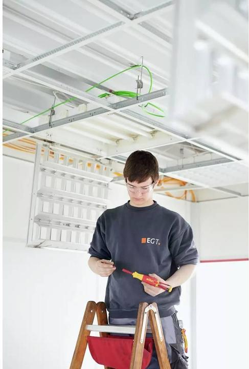 Actual product image Wiha LiftUp Electric (Torx (TX))