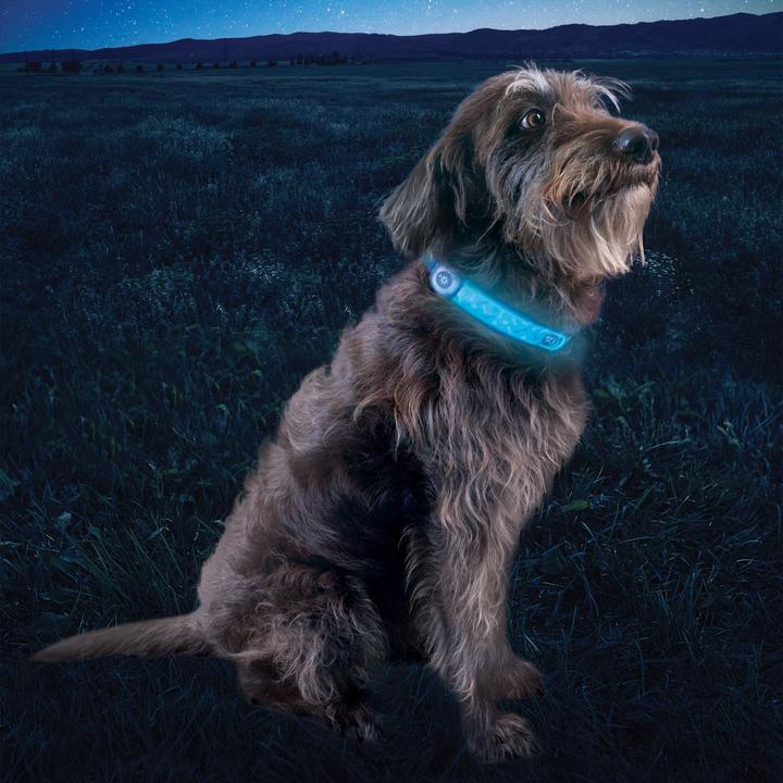 Actual product image Nite Ize NiteDog Rechargeable LED Collar Cover (Dog, General)