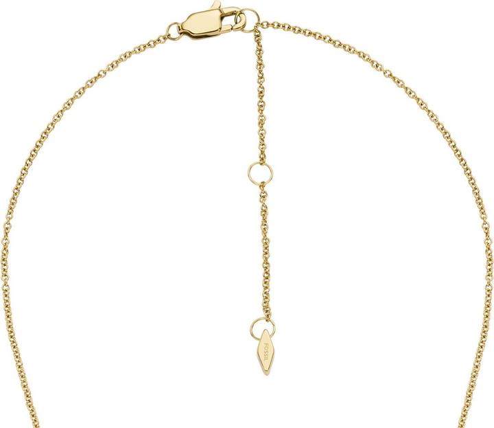 Image du produit Fossil Collier Harlow (Acier inoxydable, 40 - 45 cm)