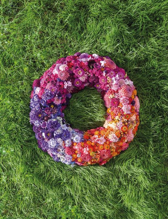 Image du produit Opiflor Steckschaumkranz Ringo 40 cm
