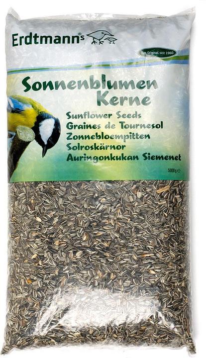 Produktbild Erdtmann Sonnenblumenkerne 5kg (1 x, 5 kg)