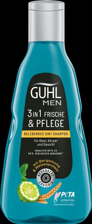 Produktbild Guhl Men 3in1 Shampoo Frische & Pflege (250 ml, Flüssiges Shampoo)
