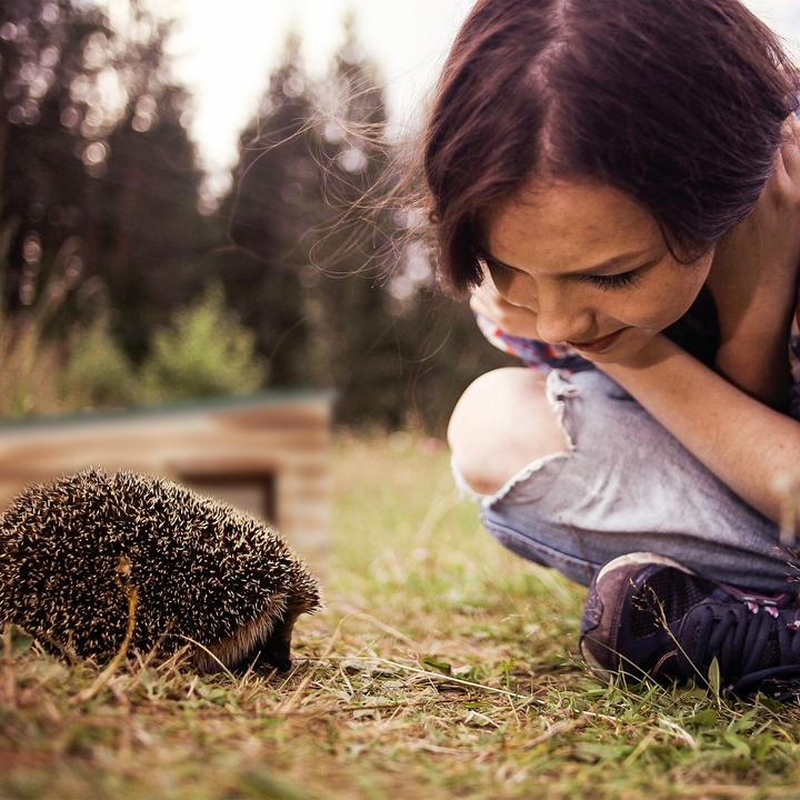 Actual product image Relaxdays Hedgehog House