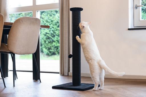 Image du produit Beeztees Arbre à chat Serpa (90 cm, Noir)