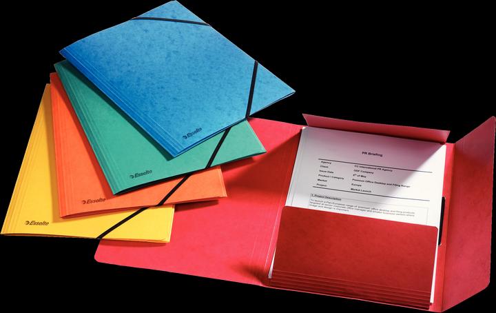 Actual product image Esselte Rainbow (A4, 1 x)