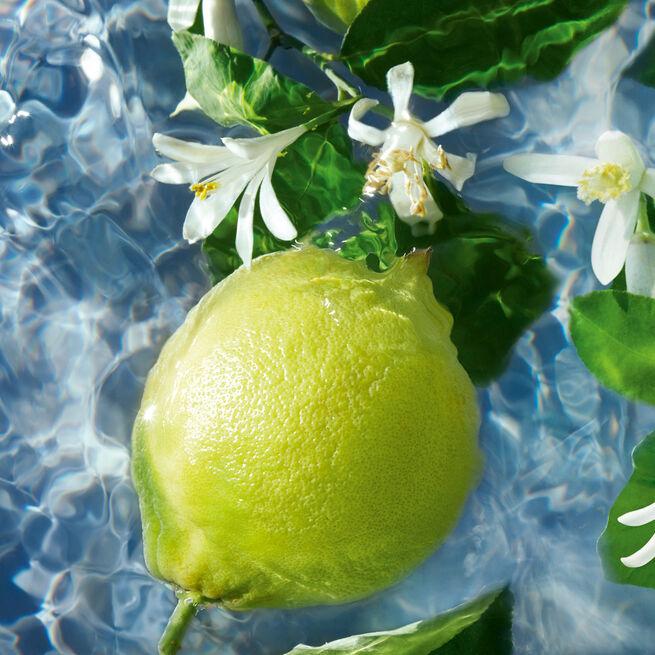 Image du produit Guerlain Aqua Allegoria Bergamote Calabria (Eau de toilette, 75 ml)