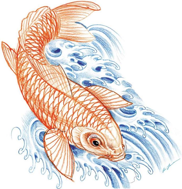 Actual product image Miami Ink Japanese koi (20 x 20 cm)