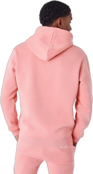 Image du produit Project X Paris sweatshirt à capuche essentials (M)