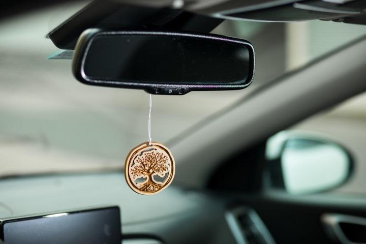 Image du produit ZNatur Zirben Bois d'arolle Pendentif parfum de voiture Cadeau Déco Arbre de vie No.110