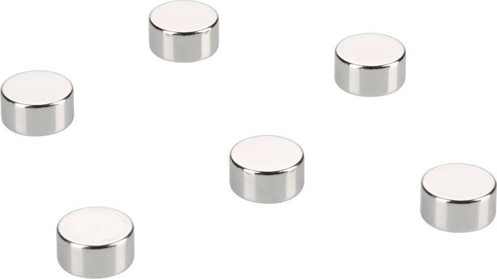 Rheita Magnet (6 x)