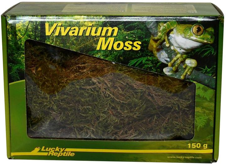 Lucky Reptile Vivarium Moos