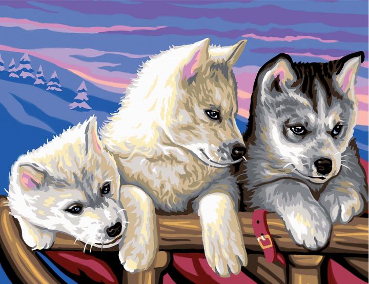 Actual product image Painting By Numbers Huskies