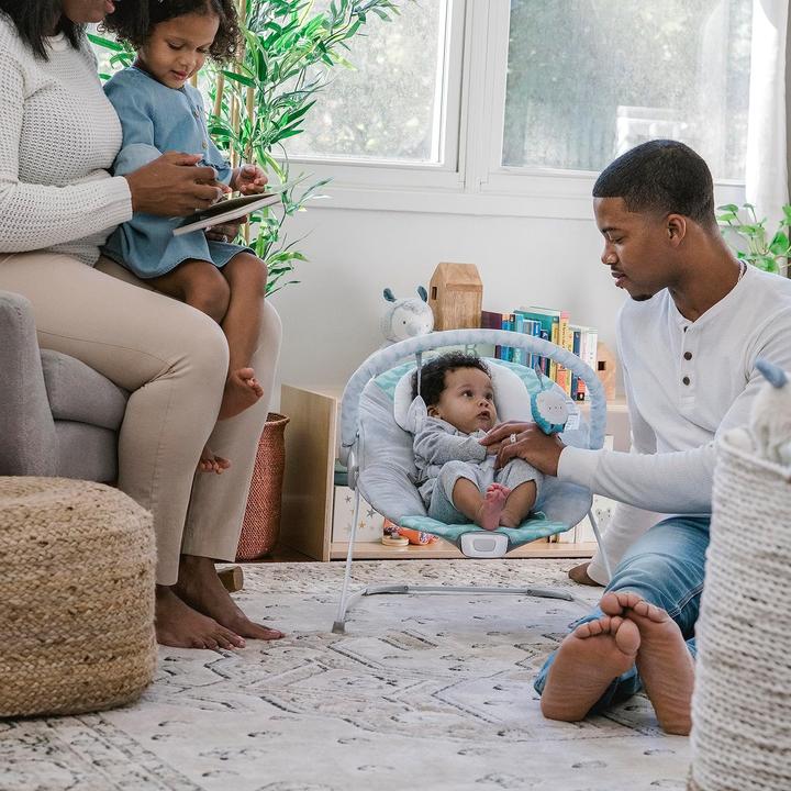Actual product image Ingenuity Vibrating Baby Bouncer Deluxe