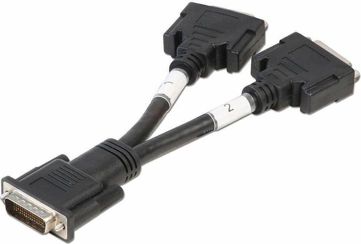 Lindy Adapter cable DMS59/2x DVI-I(F) length approx. 16cm (0.16 m, DVI)