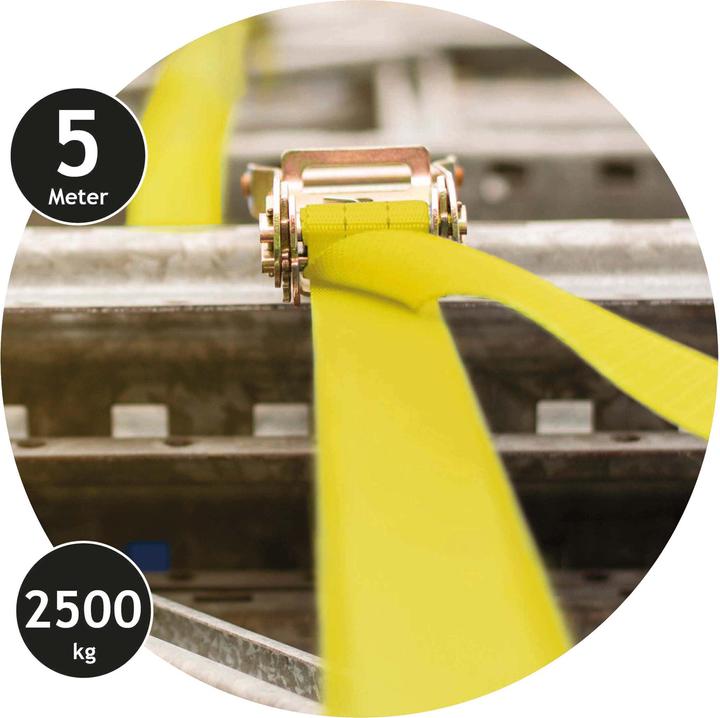 Immagine prodotto Dunlop Cricchetto per legare 2500 kg