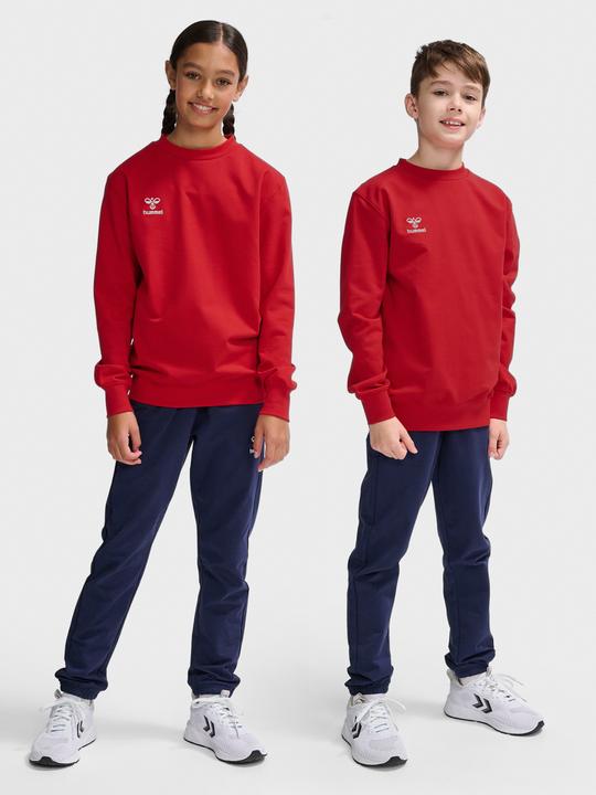 Actual product image hummel Hmlgo 2.0 Sweatshirt Kids (128)
