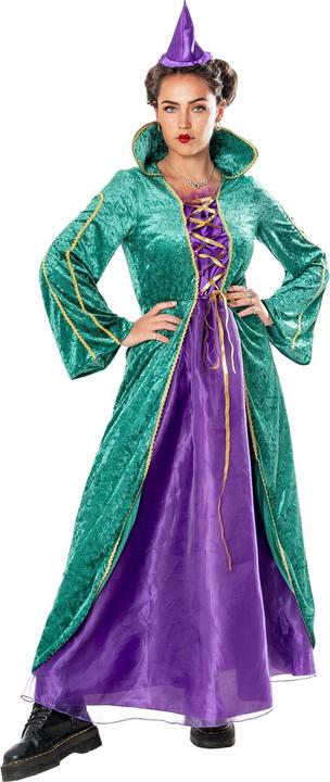 Immagine prodotto Bristol Novelty Donna Strega Costume (L)