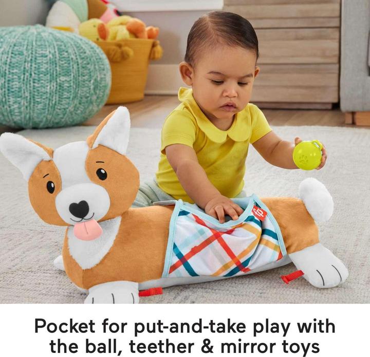Actual product image Fisher-Price 3-in-1 doggie play cushion (Multilingual)