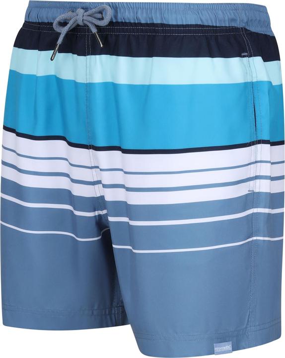 Actual product image Regatta Mens Loras Striped Swim Shorts (XXL)