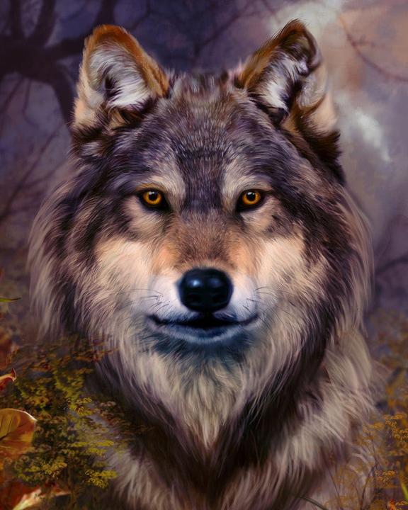 Produktbild Figured'Art Malen nach Zahlen Wolf Portrait auf Keilrahmen gespannt