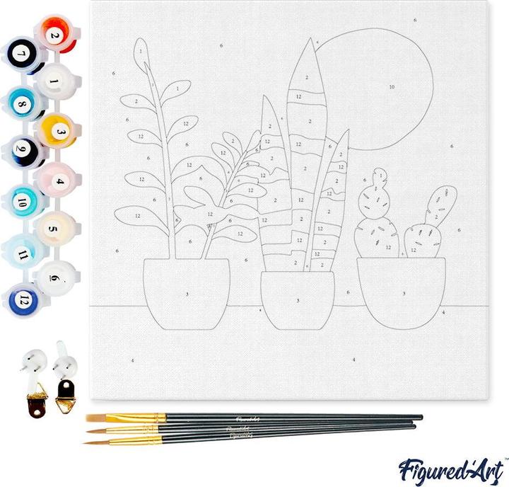 Image du produit Figured'Art Mini Peinture par Numéros avec Cadre - Plantes grasses