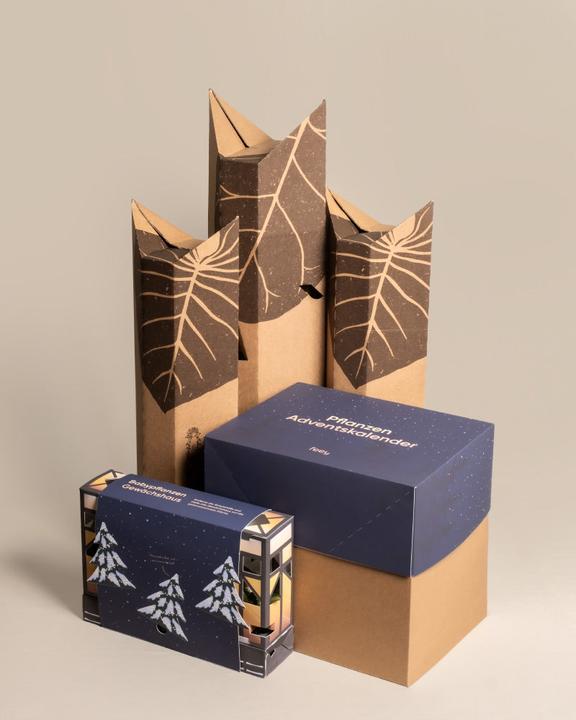 Produktbild feey Pflanzen Adventskalender (60 cm)