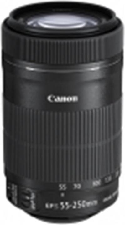 Canon EF-S 55-250mm f/4-5.6 IS STM (Canon EF-S, APS-C / DX)