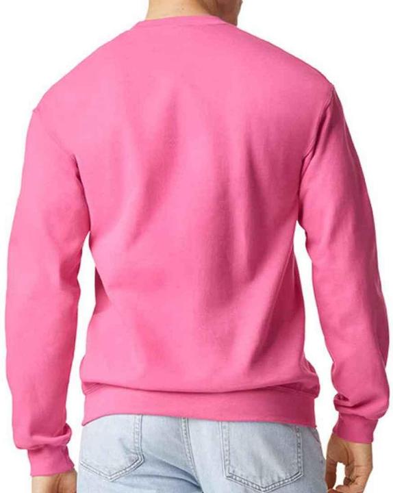 Image du produit Gildan - Sweat SOFTSTYLE - Adulte (XL)
