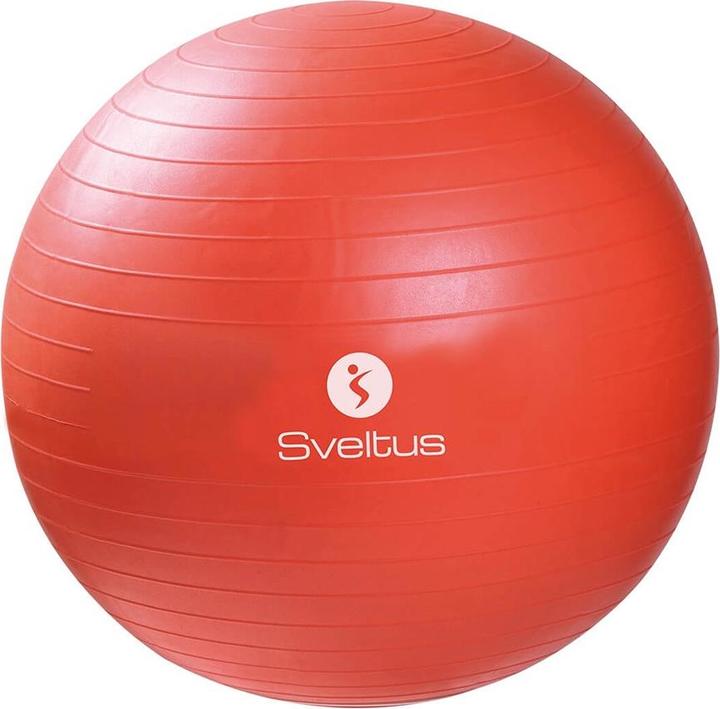 Gymnastikball (55 cm)