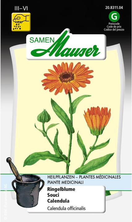 Samen Mauser Marigold (Plant seeds)