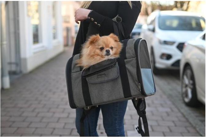 Immagine prodotto Kerbl Vacanza con zaino per cani (Cane, Riflettori, Lavabile in lavatrice)