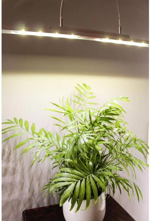 Actual product image Tru Components LED strips with daylight LEDs (Neutral White, 18 cm, Indoor)