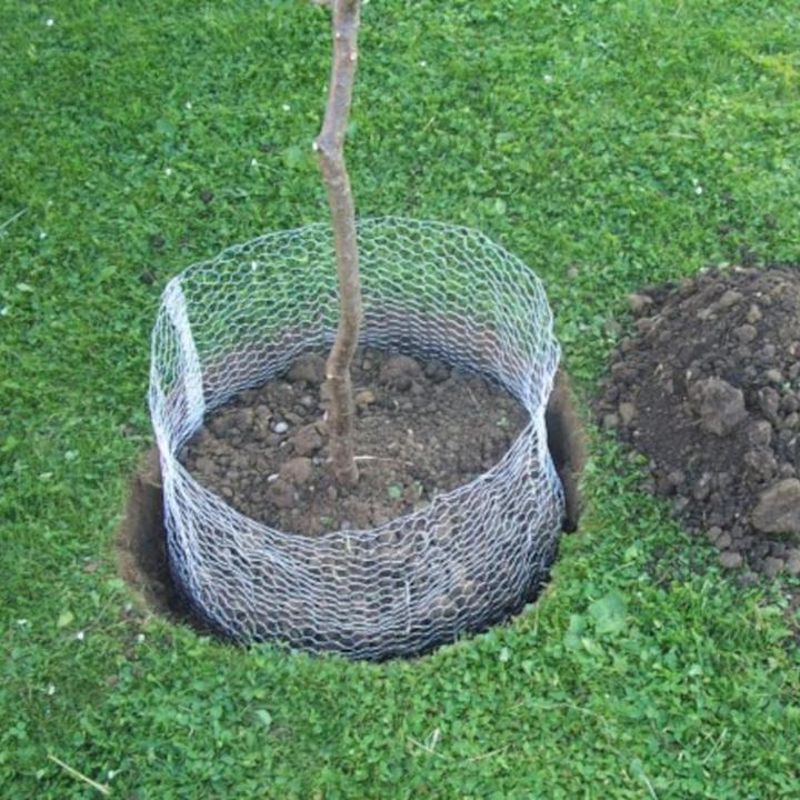 Actual product image Siena Garden Vole basket (5000 ml)