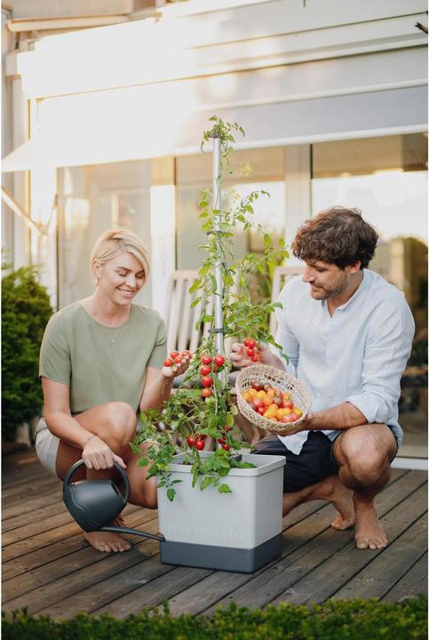 Produktbild Gusta Garden Tom Tomato (35 cm)