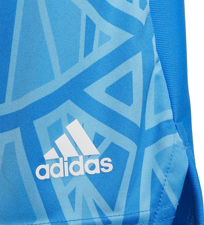 Actual product image adidas Condivo 22 Goalkeeper Shorts Kids (152)