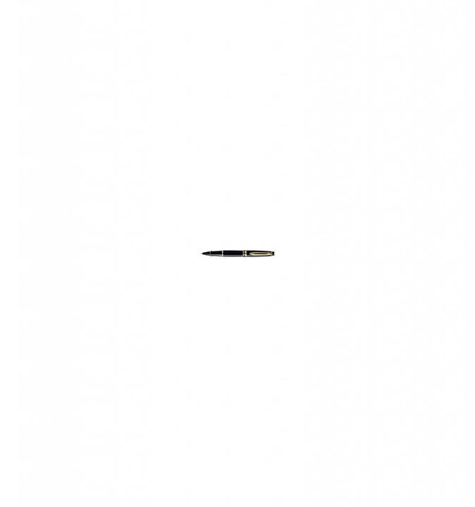 Immagine prodotto Waterman Esperto (Oro, Nero, 1 x)