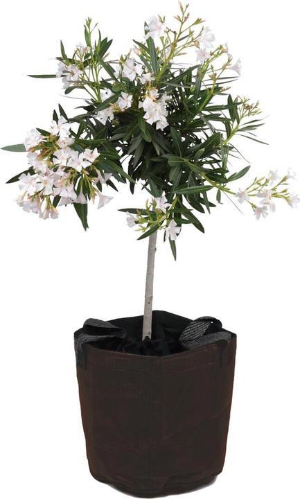 Produktbild Colibri Frostschutz Topf
