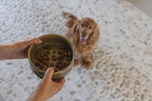 Actual product image Designed by Lotte Jace dog bowl (0.70 l)