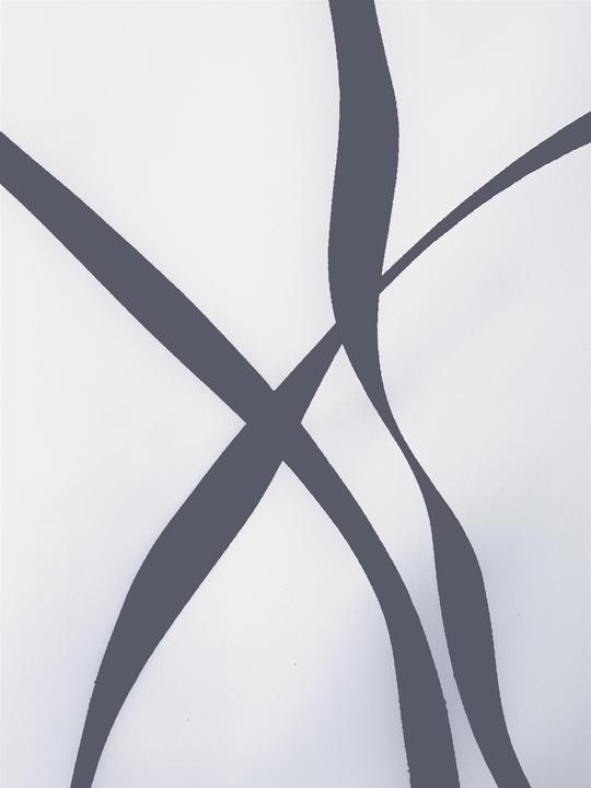 Actual product image spirella Ribbon (180 x 200 cm)