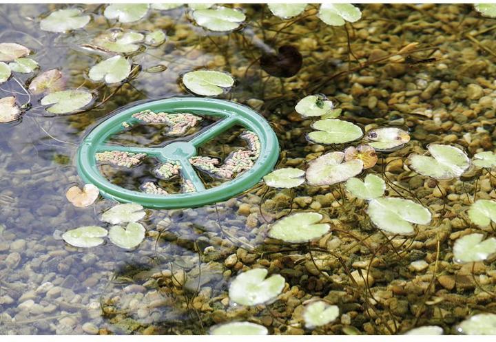 Actual product image Pontec PondoFeed Ring