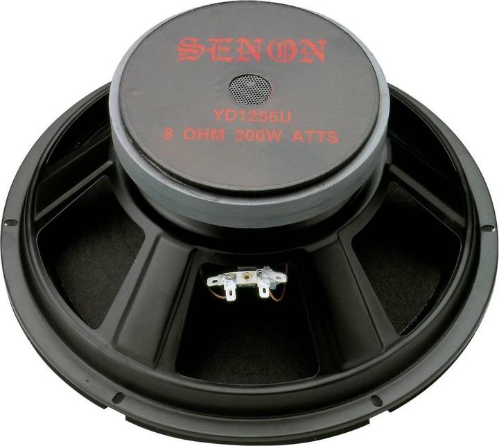 Immagine prodotto Rockwood Altoparlante vuoto PA Bass Fullrange 300 mm per chitarra (1 pz.)