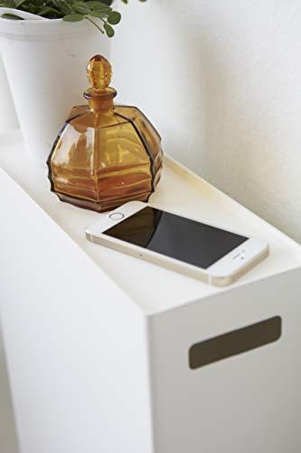 Actual product image Yamazaki PLATE toilet roll holder
