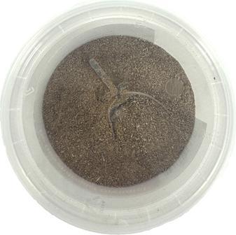Actual product image Dierendrogist Groenlipmossel Extract Veterinair (Dog)