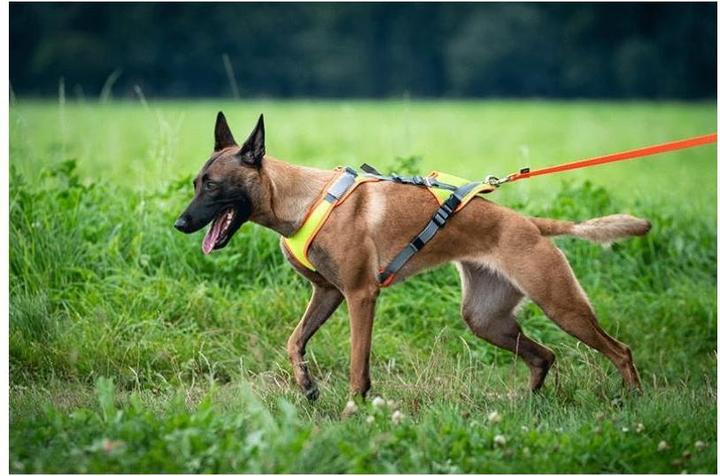 Produktbild Beat Grossenbacher Hundegeschirr Vary Mantrail (XXL, Hund, Arbeit, Fahrrad, Allgemein)