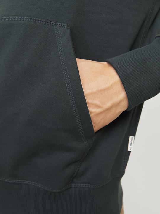 Actual product image Jack & Jones Jorfrederiksberg Sweat Hood Sn (XS)