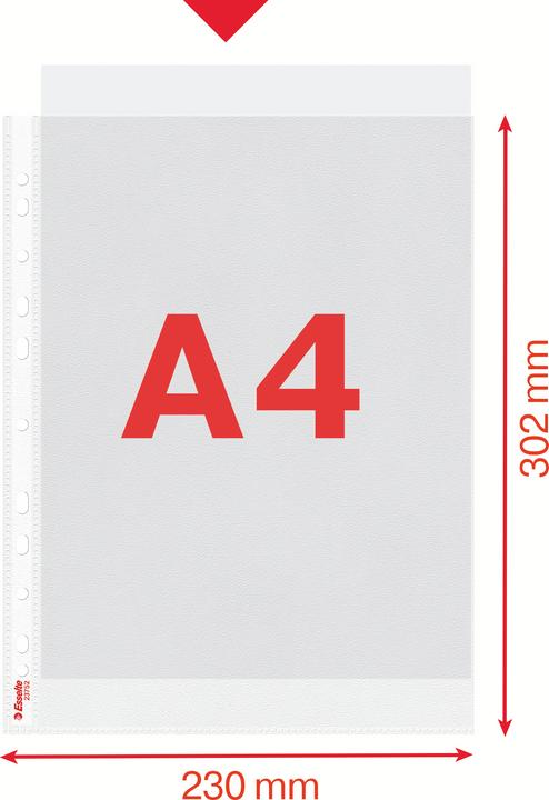 Actual product image Dymo Esselte brochure cover standard, DIN A4, PP, grained, 0.07 mm open top, document-proof (A4, 1 x)