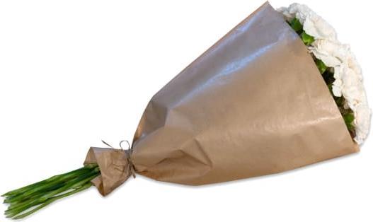 Fleurop Cremefarbene Nelken im Bund (Schnittblumen)