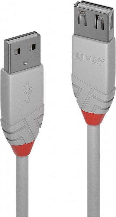 Productafbeelding Lindy USB A - USB A (1 m, USB 2.0)