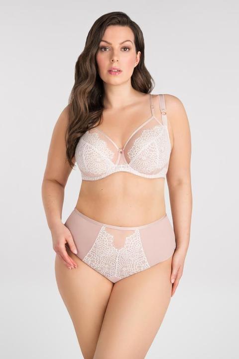 Image du produit Gorsenia Modèle souple (80 K)