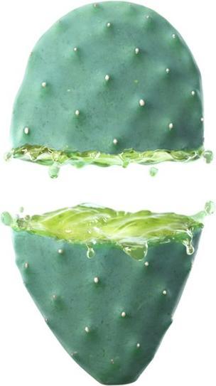 Produktbild Weleda Prickly Pear Hydrating Lotion (30 ml, Tagescreme)